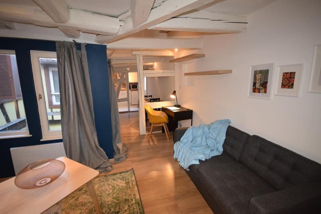 Le Studio Du Quai Des Pecheurs - Charmant Duplex Sur Les Quais Straatsburg Buitenkant foto