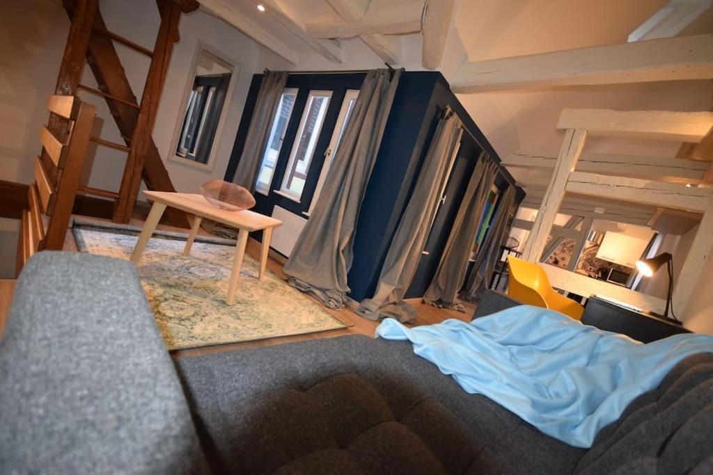 Le Studio Du Quai Des Pecheurs - Charmant Duplex Sur Les Quais Straatsburg Buitenkant foto