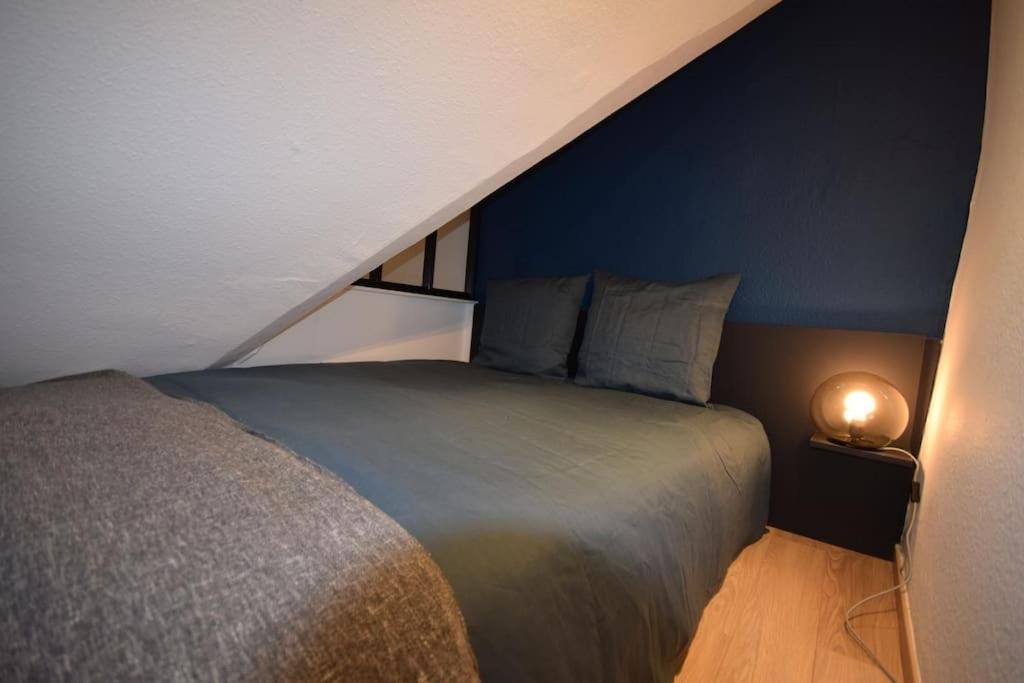 Le Studio Du Quai Des Pecheurs - Charmant Duplex Sur Les Quais Straatsburg Buitenkant foto
